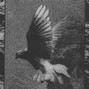 døves - text