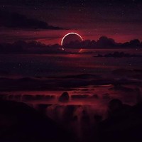 ocelotnine