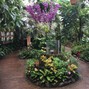 ProdWinny - Botanical
