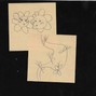 Mather - butterflies in my stomach