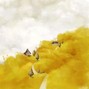 GOLDSAND - 2nd Wind