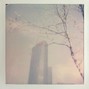 Liam Odd - SKYLINE 