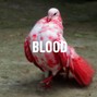 L.eazy  - BLOOD