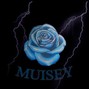 Muisey - Quantum (82 BPM)