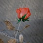 DEATH & REBIRTH - 333
