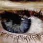 srsem14 - eyes