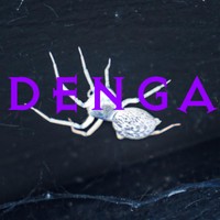Denga