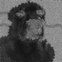 Denga - YOSHIMAMA 134bpm Emaj