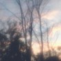 pharaone1 - clams casino type beat - elevators