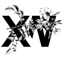 X.WILSON