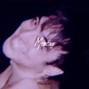 ItsAllRisky - memory