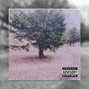 takiosnimba - forest