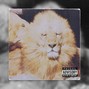 takiosnimba - Lion