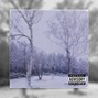 takiosnimba - snow