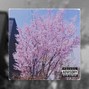 takiosnimba - SAKURA