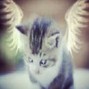 foreignprodby - 666bit @foreignprodby Fmin