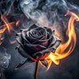Einsofcode - HIP HOP BEAT-BLACK ROSE