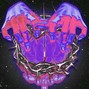 Prodbymax - FALSE 
