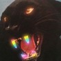 GODSTATEOFMIND - black jaguar