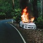 GODSTATEOFMIND - FOREST