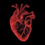 SZworker - Heartbeat