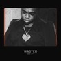 dcblazebeats - Wasted