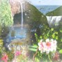 chase trips - Sumire Water Falls