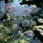 prod. saunjay - Boofpaxkmooky & Cashcache Type Beat - “Wonderland” prod. saunjay + 4lux