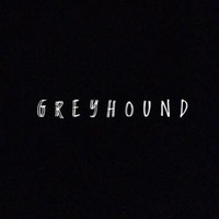 Greyhound