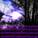 rainn god - 2026 DIARYPLUGG ESSENTIALS KIT @rainn_god