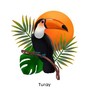 Flowellbeats - Turay