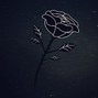 BLACKROSE - NOBODY