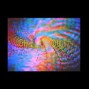 BLACKROSE - CHILL OUT