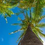 boden - COCONUT WATER - F#MINOR