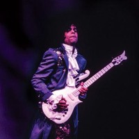 prince.dw