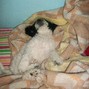 Playera - Need4Sleep