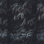 MYNO - Vision