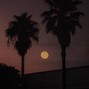 madr - Loop kit "Palace" prodbymadr