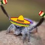 Spyder-Mane - “GUAJIRA” JPEG MAFIA TRAP TYPE BEAT