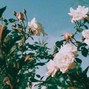 PR3TTYWOOSH - "HOPE" | SAD GUITAR BEAT | LIL PEEP TYPE BEAT | EMO RAP TYPE BEAT