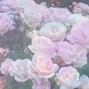 claude blanc - flowers
