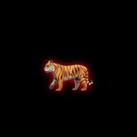 NoryTheTiger