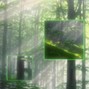 voidrave99 (buy 2 same licenses get 1 free) - garden (yung lean x corbin x clams casino type beat)