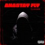 pyrogen808 - Anastay Fly