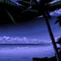 BRIAN MOSSBERG - midnite dreams