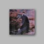 Albert Haze - Grey