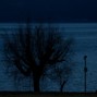 l.deshawn8 - Nocturnal Waters 