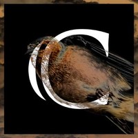 CHAFFiNCH