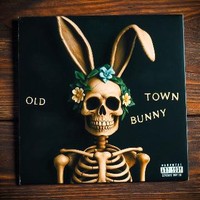 Old town bunny