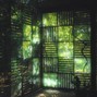sage2sick - Terminal